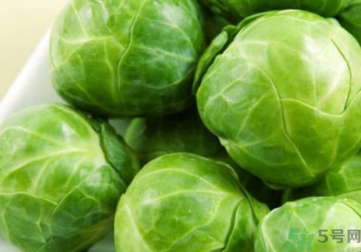 孕婦可以吃包菜嗎？孕婦吃包菜好嗎？