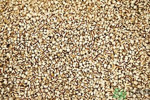 吃辣椒可以去除濕氣嗎？辣椒能去濕氣嗎？