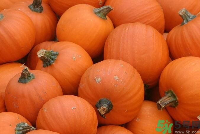 南瓜和羊肉能一起吃嗎？南瓜可以和羊肉一起吃嗎？