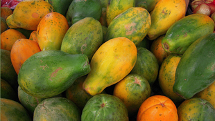 咳嗽能吃木瓜嗎？咳嗽吃木瓜好不好？