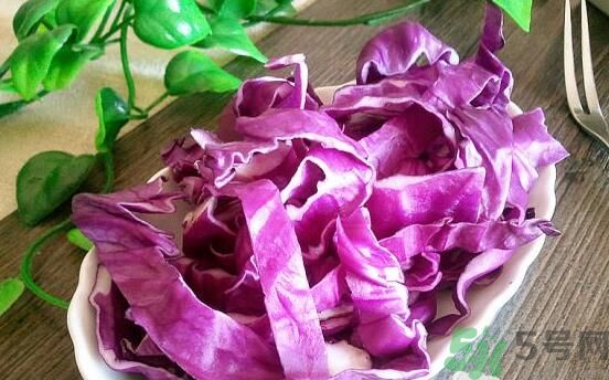 紫甘藍和包菜有什么區(qū)別？紫甘藍是包菜嗎？