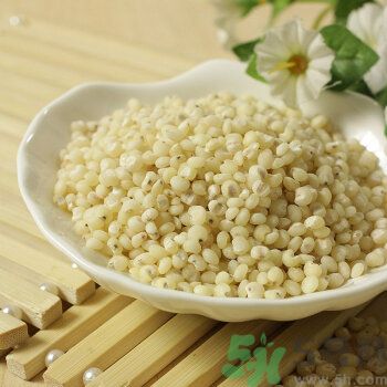 高粱米是涼性嗎？高粱米是涼性還是熱性？