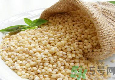 高粱米是涼性嗎？高粱米是涼性還是熱性？