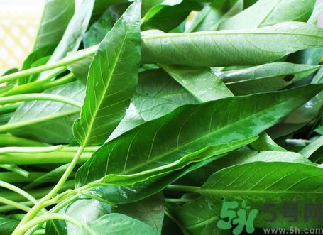 空心菜是熱性還是涼性?空心菜是涼性的嗎? 空心菜是熱性還是涼性?空心菜是涼性的嗎?