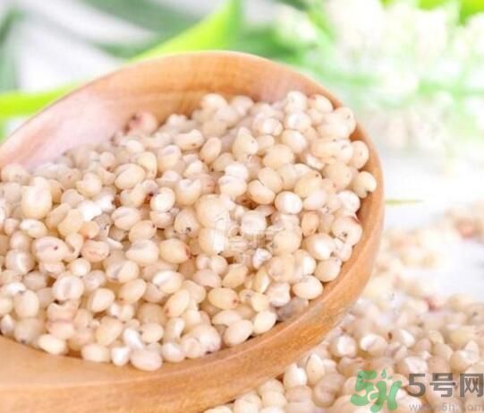 高粱米是發(fā)物嗎？高粱米是不是發(fā)物？