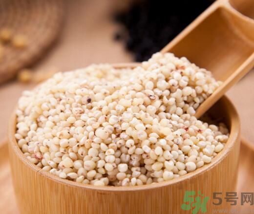 高粱米是發(fā)物嗎？高粱米是不是發(fā)物？