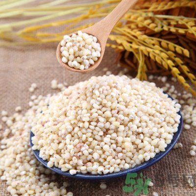 高粱米能做飯嗎？高粱米做飯好嗎？