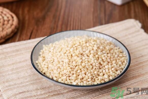 孕婦可以吃高粱米嗎？