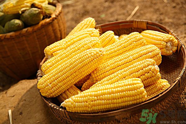 南瓜和玉米可以一起吃嗎？南瓜和玉米一起吃好嗎？