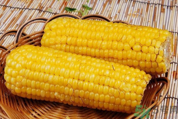 南瓜和玉米可以一起吃嗎？南瓜和玉米一起吃好嗎？