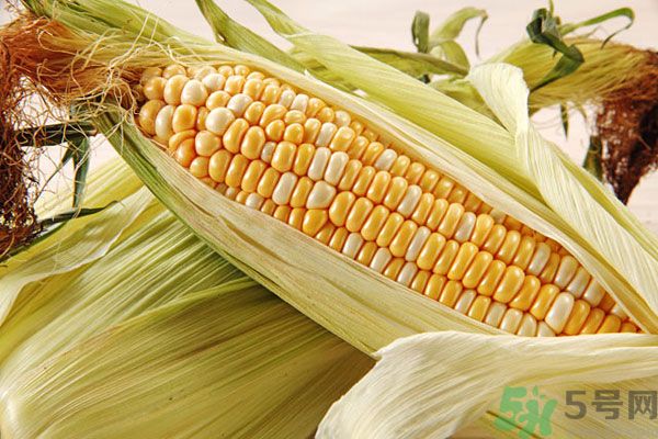 南瓜和玉米可以一起吃嗎？南瓜和玉米一起吃好嗎？