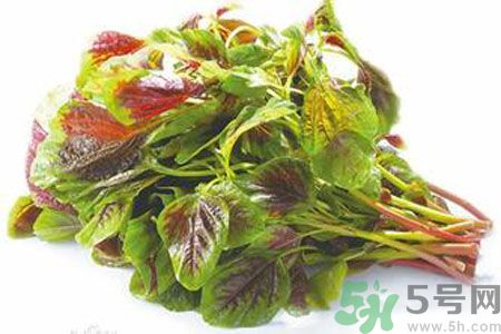 孕婦可以吃漢菜嗎？懷孕可以吃漢菜嗎？