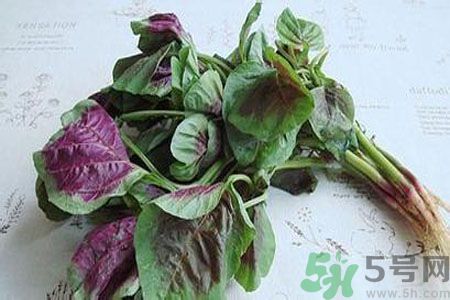 寶寶可以吃漢菜嗎？寶寶吃漢菜好嗎？