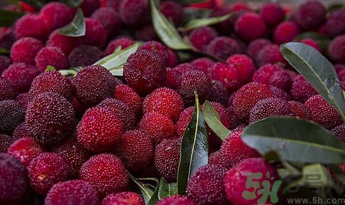 楊梅和酸奶能一起吃嗎?楊梅和酸奶一起吃會怎么樣 楊梅和酸奶能一起吃嗎?楊梅和酸奶一起吃會怎么樣