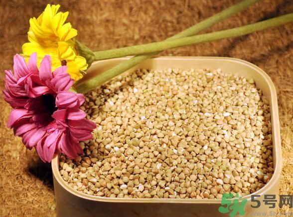 蕎麥?zhǔn)前l(fā)物嗎？蕎麥?zhǔn)遣皇前l(fā)物？