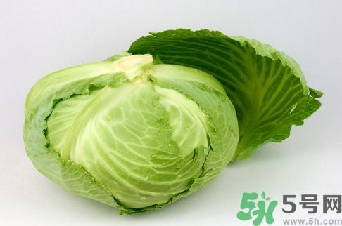 包菜是發(fā)物嗎?包菜是不是發(fā)物? 包菜是發(fā)物嗎?包菜是不是發(fā)物?