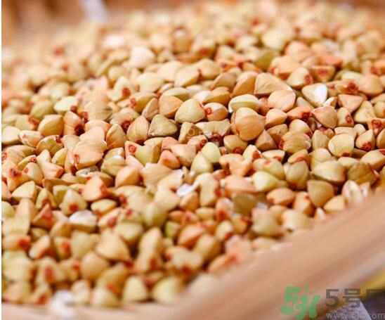 蕎麥可以包粽子嗎？蕎麥可以用來包粽子嗎？