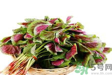 胃不好可以吃莧菜嗎？胃不好吃莧菜好嗎？