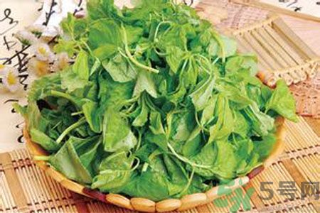 胃不好可以吃莧菜嗎？胃不好吃莧菜好嗎？