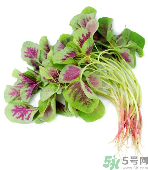 吃莧菜會皮膚過敏嗎？吃莧菜皮膚過敏怎么辦？