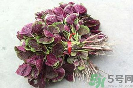 衣服上染上了莧菜汁怎么辦？衣服上的莧菜汁怎么洗掉？