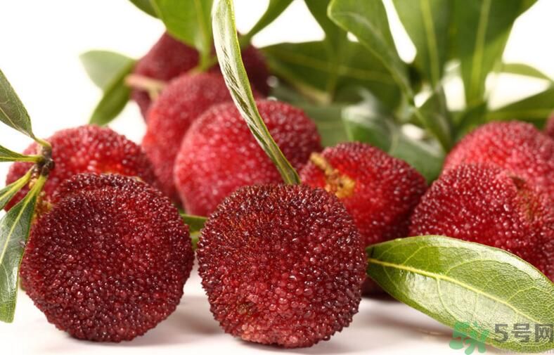 楊梅可以和牛奶一起吃嗎？牛奶能和楊梅一起吃嗎？