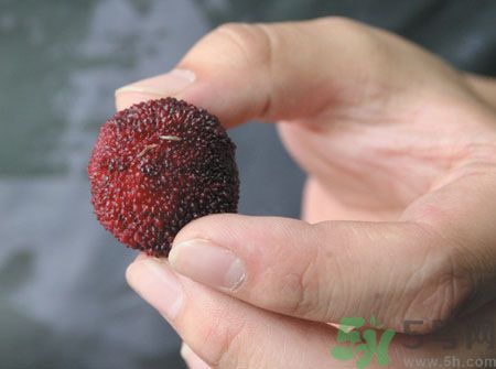 楊梅里面的蟲子能吃嗎？楊梅里面的蟲子吃了會怎么樣？