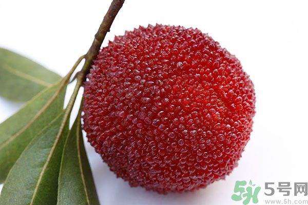 楊梅里面的蟲子能吃嗎？楊梅里面的蟲子吃了會怎么樣？