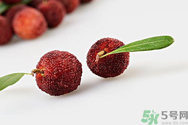 楊梅里面的蟲子是什么是蛆嗎？楊梅里的蟲子有害嗎？