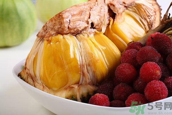 楊梅里面的蟲子是什么是蛆嗎？楊梅里的蟲子有害嗎？