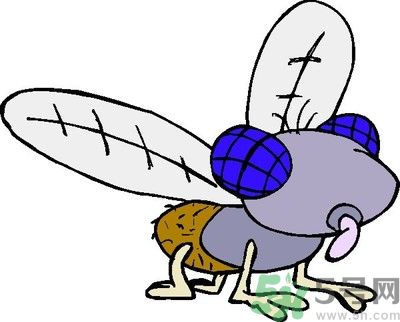 懷孕后被蚊子咬要用什么藥？懷孕后被蚊子咬可以用藥嗎？