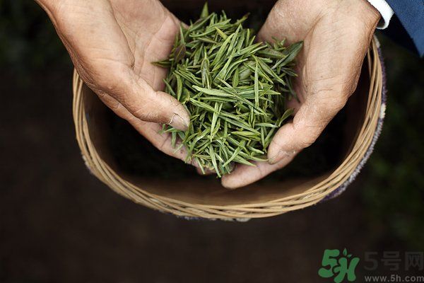 吃魚的時(shí)候能喝茶嗎？吃魚可以喝茶嗎？