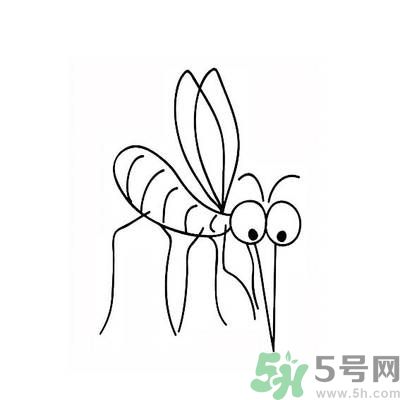 夏天家中有蒼蠅怎么辦？夏天如何滅蒼蠅？