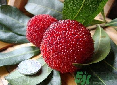 楊梅紅色好還是黑色好？楊梅顏色越深越好嗎？