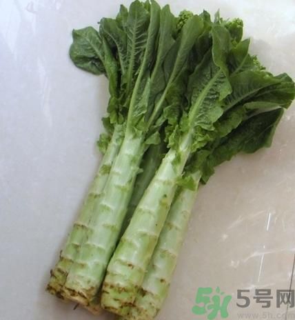 筍子是不是發(fā)物？筍子是發(fā)物嗎？