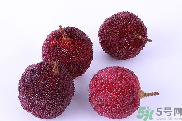 楊梅里面有小蟲怎么洗？楊梅里的蟲子怎么弄出來？