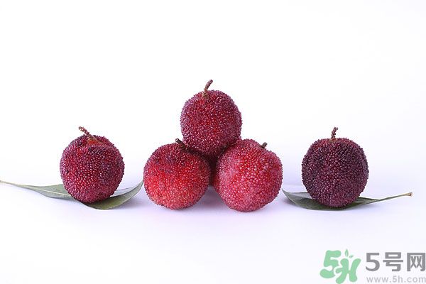 楊梅里面有小蟲怎么洗？楊梅里的蟲子怎么弄出來？