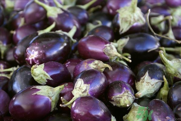 茄子里面有黑點能吃嗎？茄子里面黑了能吃嗎？