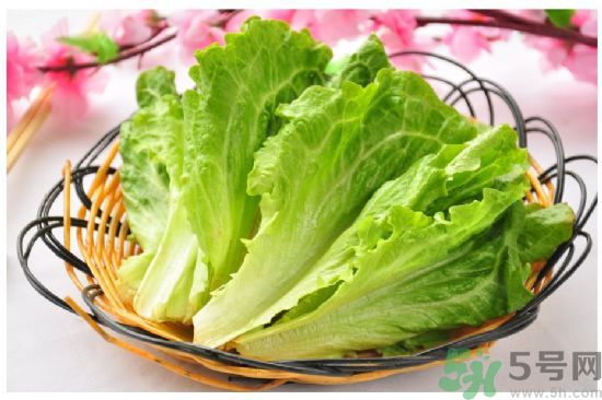 生菜是涼性還是熱性?生菜是涼性的嗎? 生菜是涼性還是熱性?生菜是涼性的嗎?