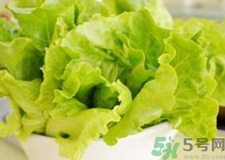 生菜是涼性還是熱性?生菜是涼性的嗎? 生菜是涼性還是熱性?生菜是涼性的嗎?