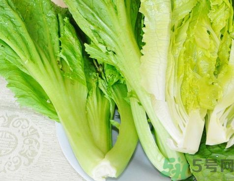 生菜怎么保存?生菜怎么保鮮? 生菜怎么保存?生菜怎么保鮮?