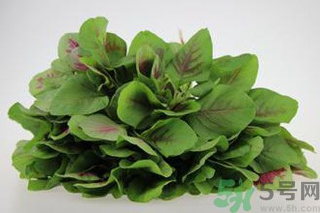 莧菜可以生吃嗎？莧菜生吃了會怎樣？