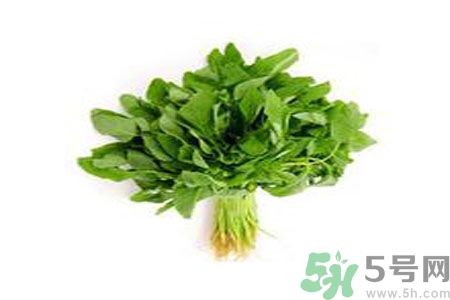 莧菜可以生吃嗎？莧菜生吃了會(huì)怎樣？