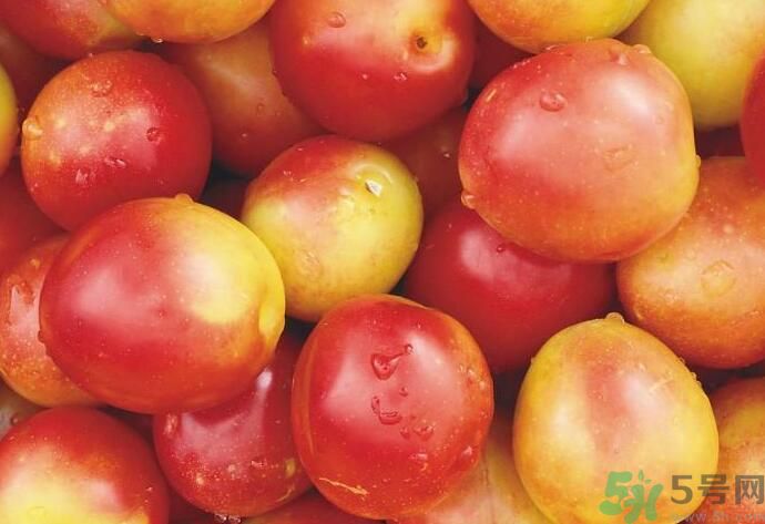 李子有什么功效？李子的功效是什么？