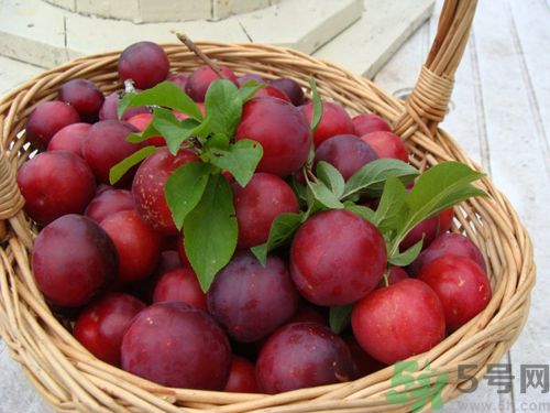 李子可以煮熟吃嗎？李子能煮了吃嗎？