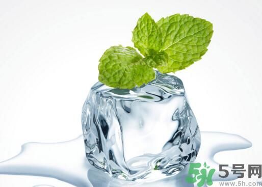 薄荷可以炒菜吃嗎？薄荷可以用來炒菜嗎？