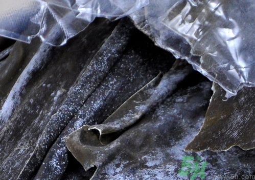 干海帶要泡多久才能吃?干海帶要泡多長時間? 干海帶要泡多久才能吃?干海帶要泡多長時間?