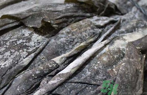 干海帶要泡多久才能吃?干海帶要泡多長時間? 干海帶要泡多久才能吃?干海帶要泡多長時間?