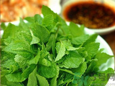 薄荷是涼性的嗎？薄荷是涼性還是熱性？
