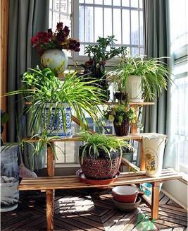 房子裝修后多久才能??？房子裝修后多久孕婦才能??？